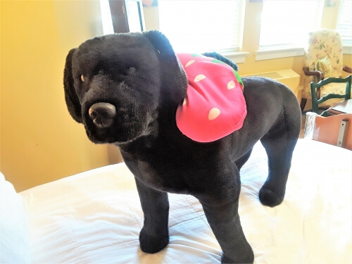 Penelope the stuffed dog