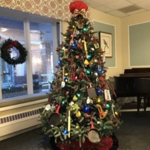 Homeland for the holidays: Events offer love, joy, and light