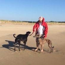 Charlie Fetterhoff: Board of Trustees member puts Homeland “in a class by itself”