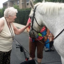 Summertime Fair celebrates the Homeland Center family and community