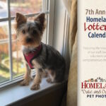 'cover of the 2023 lottery calendar featuring a cute dog'