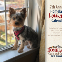 Homeland’s 2023 “Cute and Cuddly” Lottery Calendar!